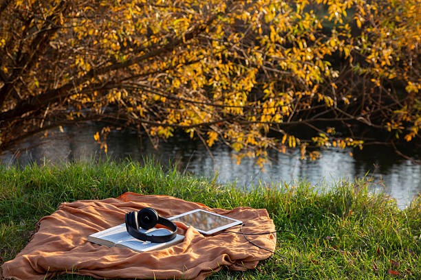 Essential Communication Skills in Communicating in Small Groups: Principles and Practices